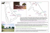 coo1c19 raiatea 1_thumb.gif